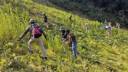 Meitei Body Asks Centre To Set Up Specialised Anti-Narcoterrorist Force