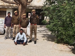 Rajasthan: बाजार में बिकने जा रही थी करोड़ों की अफीम, पुलिस ने कसा शिकंजा; करीब 80 हजार पौधे जब्त