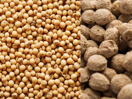 Soya Beans vs Soya Chunks: Which One Has More Protein?