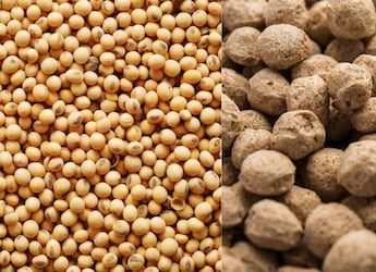 Soya Beans vs Soya Chunks: Which One Has More Protein? Soya Beans vs Soya Chunks: Which One Has More Protein?