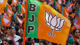 Opinion | BJP Manifesto: Promise Versus Reality