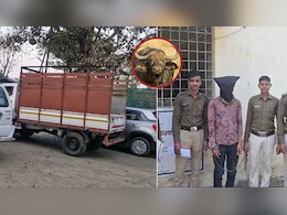मवेशी व्यापारी का भैंस और पाड़ा लूटकर हुए फरार, पुलिस ने मास्टरमाइंड को किया गिरफ्तार