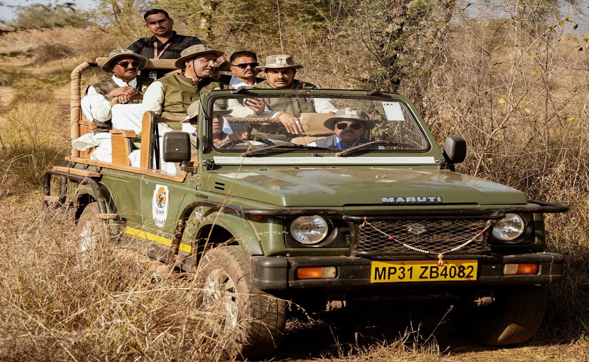 MP का 9वां टाइगर रिजर्व बनेगा माधव नेशनल पार्क, CM मोहन यादव ने कहा चंबल अंचल में बढ़ेंगे वन्यजीव
