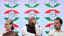 Congress' Major Reshuffle In Key States After Delhi Drubbing, Haryana Loss