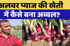 Alwar News : Alwar Onion की खेती में कैसे बना अव्वल?