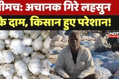 नीमच: अचानक गिरे लहसुन के दाम, किसान हुए परेशान! नीमच: अचानक गिरे लहसुन के दाम, किसान हुए परेशान!