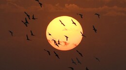 Rajasthan Weather: राजस्थान में मौसम ने फिर बदला रंग, तापमान बढ़ने से लौटी गर्मी, पढ़िए मौसम का ताजा हाल