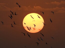 Rajasthan Weather: राजस्थान में मौसम ने फिर बदला रंग, तापमान बढ़ने से लौटी गर्मी, पढ़िए मौसम का ताजा हाल