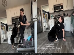 Watch: Service Dog Smells Trouble, Saves Owner From Fainting Watch: Service Dog Smells Trouble, Saves Owner From Fainting