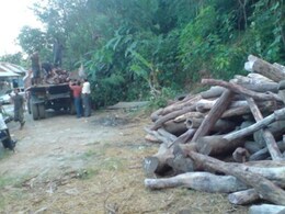 बिना मंजूरी लकड़ी लाने और ले जाने पर सख्ती, सीज होंगे वाहन, 4 लाख तक का लग सकता है जुर्माना