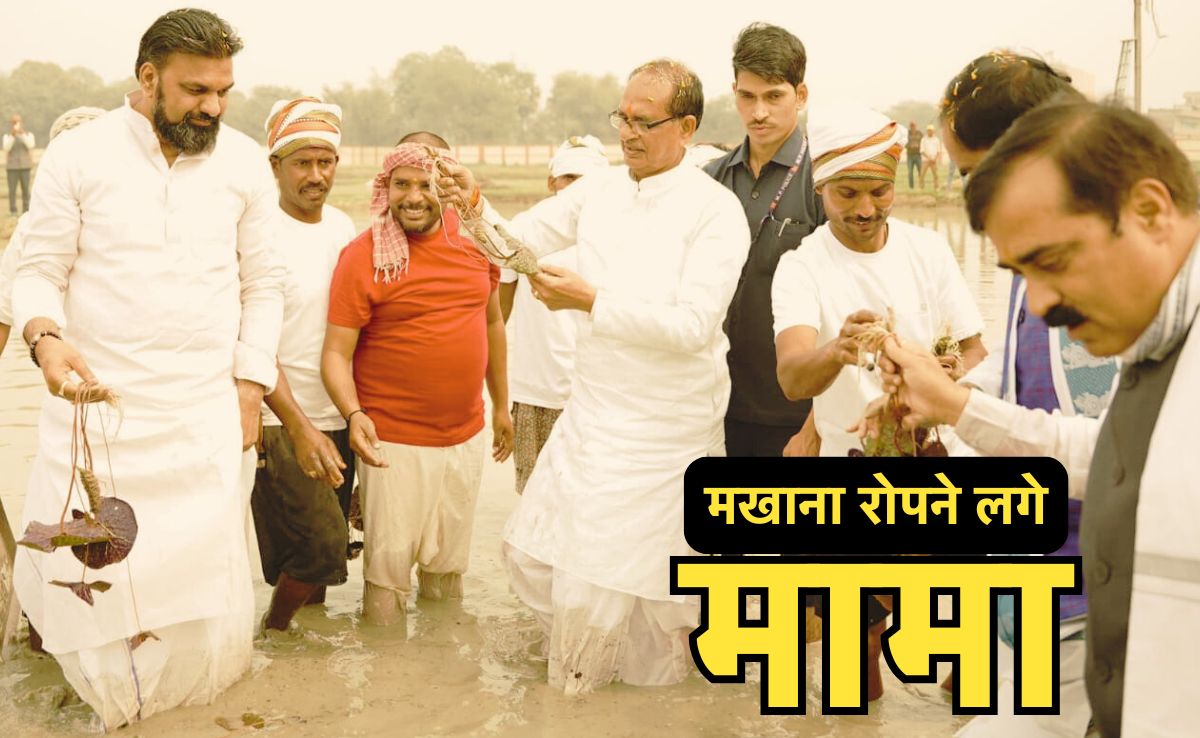 Superfood Makhana: सीधे तालाब में उतर गए केंद्रीय कृषि मंत्री शिवराज सिंह, किसानों से सीखे मखाना की खेती के गुर