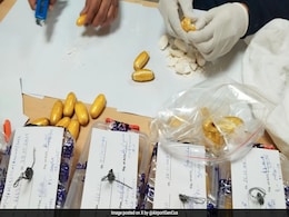 Cocaine Worth Over Rs 25 Crore Seized At Delhi Airport, 2 Brazilians Arrested Cocaine Worth Over Rs 25 Crore Seized At Delhi Airport, 2 Brazilians Arrested