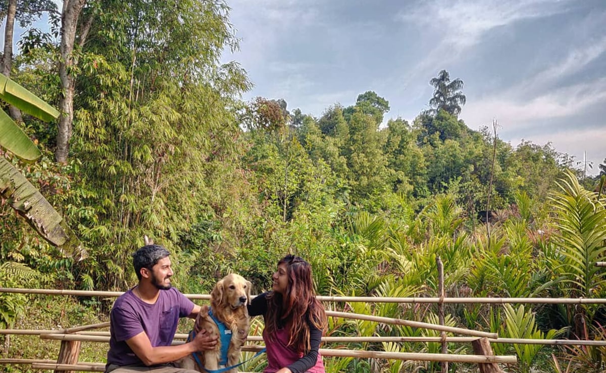 Photo: Instagram/wheelsandtails Photo: Instagram/wheelsandtails