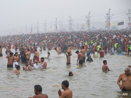 All About Faecal Coliform Bacteria, Found In River Water In Maha Kumbh All About Faecal Coliform Bacteria, Found In River Water In Maha Kumbh