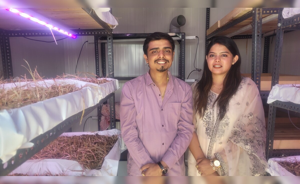 Latest and Breaking News on NDTV