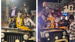Watch: Men Throw Grand Birthday Bash For Stray Dog, Internet Loves It