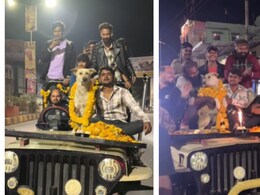 Watch: Men Throw Grand Birthday Bash For Stray Dog, Internet Loves It