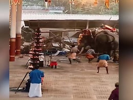 3 Killed As 2 Elephants Run In Panic, Cause Stampede At Kerala Temple 3 Killed As 2 Elephants Run In Panic, Cause Stampede At Kerala Temple