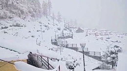 What Causes Avalanches And How To Stay Safe