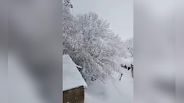 Heavy Snowfall In J&K, Uttarakhand, Himachal Blocks Key Highways
