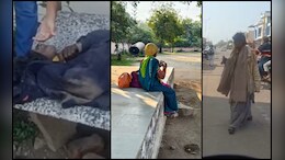 Anti Beggar Operation: इंदौर-उज्जैन में भीख मांगने पर पाबंदी का साइड इफेक्ट आया सामने, इन शहरों में बढ़ गए भिखारी