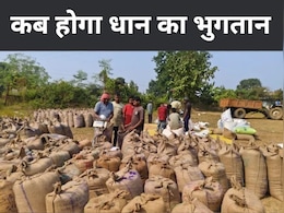 धान किसानों का 37 करोड़ रुपये का बकाया, भुगतान के लिए 2 हजार कृषक काट रहे संस्था के चक्कर धान किसानों का 37 करोड़ रुपये का बकाया, भुगतान के लिए 2 हजार कृषक काट रहे संस्था के चक्कर