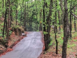 Forest Funds Used For Buying iPhones, Laptops In Uttarakhand: CAG Report Forest Funds Used For Buying iPhones, Laptops In Uttarakhand: CAG Report