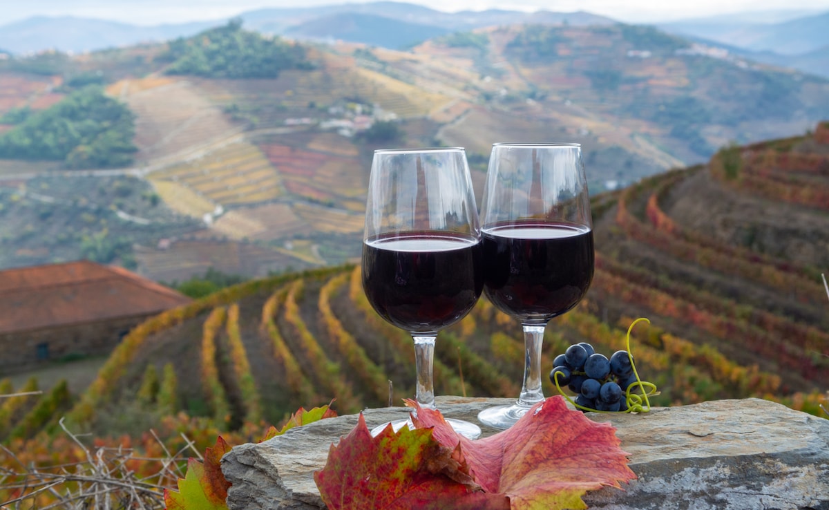 Douro Valley. Photo: iStock Douro Valley. Photo: iStock