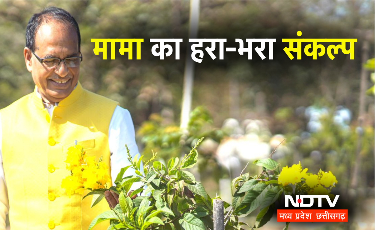 Shivraj Singh के संकल्प के 4 वर्ष पूरे! छतरपुर में जल सखियों के साथ पौधरोपण करेंगे केंद्रीय कृषि मंत्री