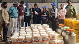 Contaminated Curd, Houseflies In Ghee And More Food Safety Violations Found At Dairy Unit In Telangana