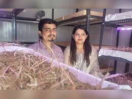 Saffron farming: संत्र्यांच्या नागपुरात चार भिंतीत आता केसर शेती, हा करिश्मा कसा झाला?