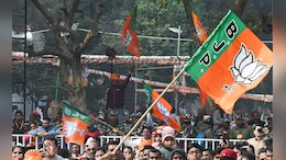 Mumbai BJP News: निवडणुका तोंडावर, तरीही मुंबई अध्यक्ष ठरेना! भाजपमध्ये अस्वस्थता, 'या' दोन नेत्यांची फिल्डिंग!