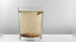 Toxic Water : तुम्ही विषारी पाणी तर पीत नाही ना?&nbsp;भूजल सर्वेक्षण विभागाच्या तपासणीचा खळबळजनक अहवाल&nbsp;