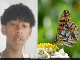Online Challenge Gone Wrong? Brazilian Boy Injects Butterfly Remains, Dies Online Challenge Gone Wrong? Brazilian Boy Injects Butterfly Remains, Dies