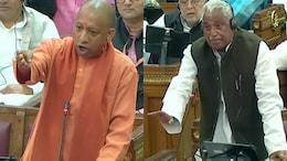 "Pigs, Vultures": Yogi Adityanath Targets Critics Of Maha Kumbh