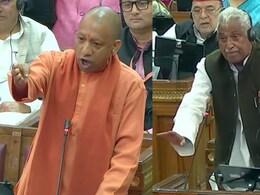 "Pigs, Vultures": Yogi Adityanath Targets Critics Of Maha Kumbh "Pigs, Vultures": Yogi Adityanath Targets Critics Of Maha Kumbh
