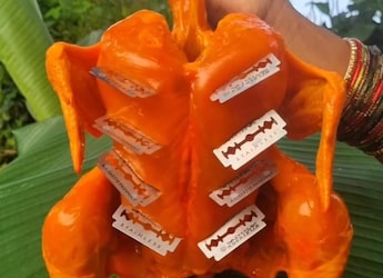 Is This Fried Chicken Recipe Too Sharp For Comfort? Watch Viral Video Is This Fried Chicken Recipe Too Sharp For Comfort? Watch Viral Video