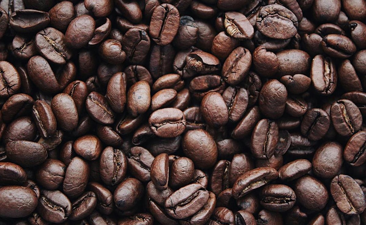 “Harmful To Humans If…” : Here’s Why EU Has Banned Caffeine