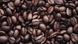 "Harmful To Humans If..." : Here's Why EU Has Banned Caffeine