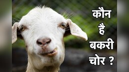 कुछ नहीं मिला तो बकरी चुरा गए चोर,&nbsp;30 बकरियों पर हाथ साफ, अब CCTV फुटेज छान रही पुलिस