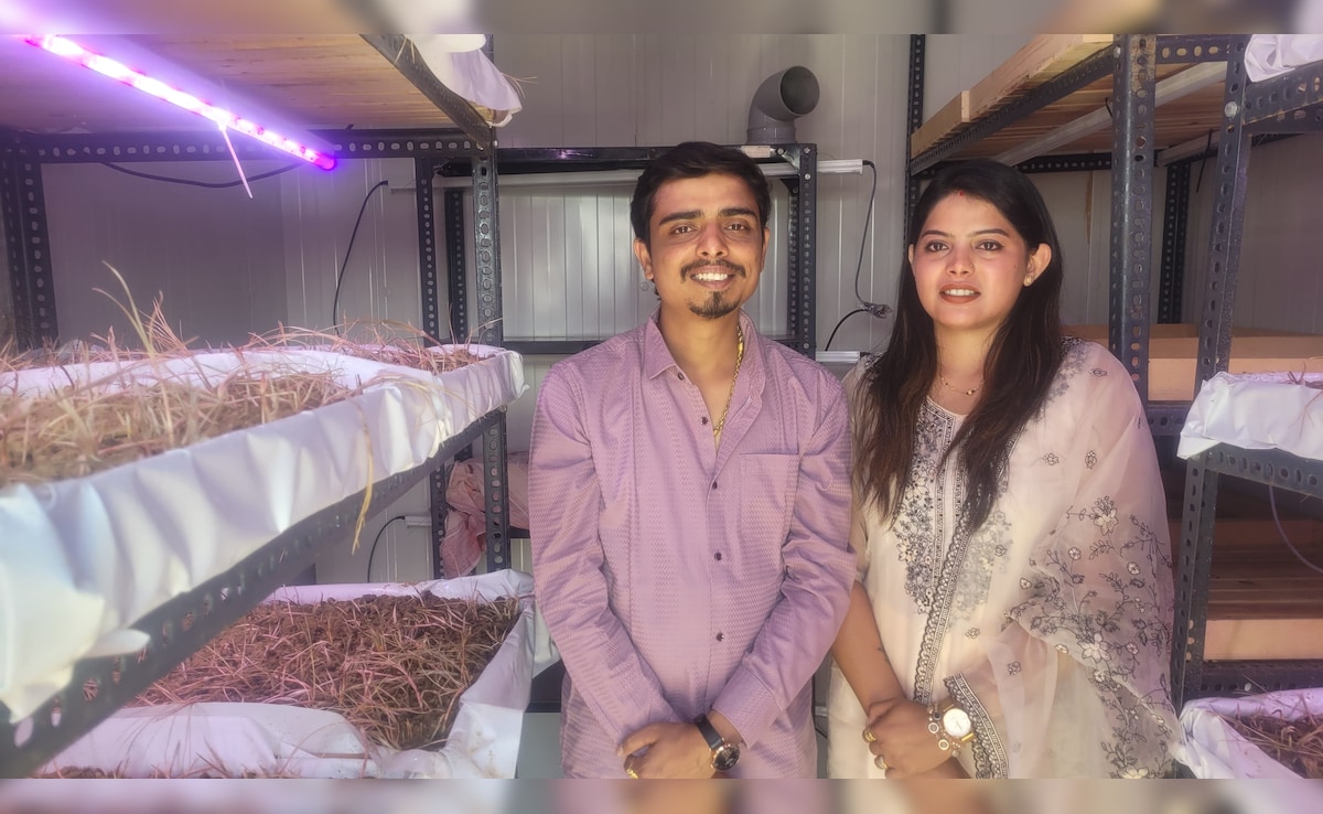 Latest and Breaking News on NDTV