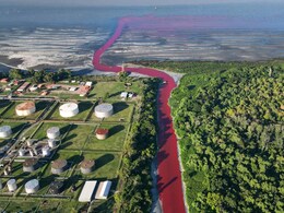 Watch: Canal In Argentina Mysteriously Turns Bright Red, Leaves Locals Baffled