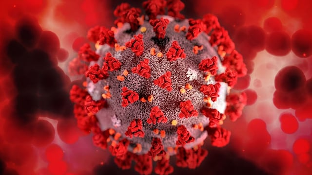 Bird Flu (H5N1) or Avian influenza A(H5N1) is a subtype of influenza virus