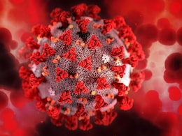 H5N1 Outbreak In The US: Experts Warn Of A Potential Pandemic; Here's How It Spreads H5N1 Outbreak In The US: Experts Warn Of A Potential Pandemic; Here's How It Spreads