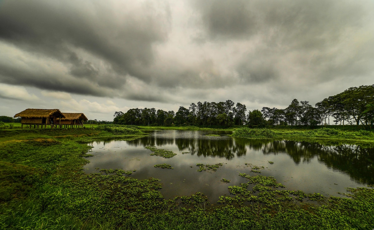 Majuli Island. Photo: iStock Majuli Island. Photo: iStock