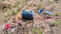 Naxal Activity: छत्तीसगढ़ में सुरक्षा बलों की बड़ी कामयाबी, माओवादियों का 25 KG आईईडी डिफ्यूज