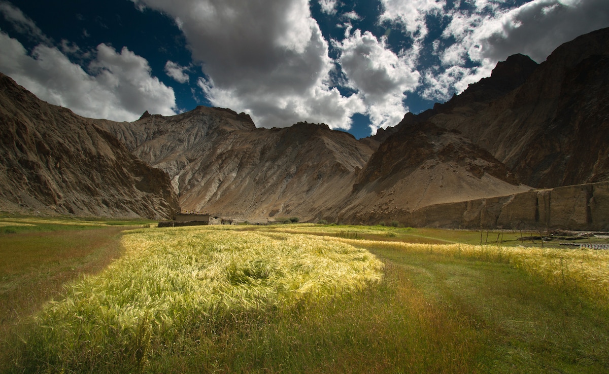 Markha Valley. Photo: iStock Markha Valley. Photo: iStock