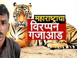 महाराष्ट्राच्या विरप्पनचं चंद्रपूर ते चीनपर्यंत पसरलं होतं जाळं, तपासात समजली धक्कादायक माहिती महाराष्ट्राच्या विरप्पनचं चंद्रपूर ते चीनपर्यंत पसरलं होतं जाळं, तपासात समजली धक्कादायक माहिती