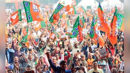 Ambikapur Nikay Chunav Results 2025: सिंहदेव के गढ़ में भी खिला कमल, एक नगर पंचायत में कांग्रेस को मिली जीत