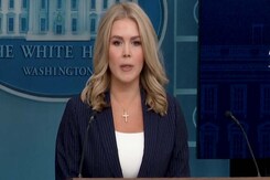 Trump And Putin Call | White House Briefing On Trump's Call With Putin, Zelensky Trump And Putin Call | White House Briefing On Trump's Call With Putin, Zelensky
